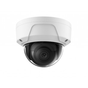 Typical example of dome Security Cameras